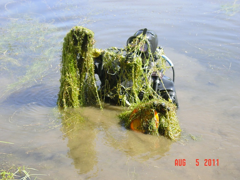 Pond Warning 2