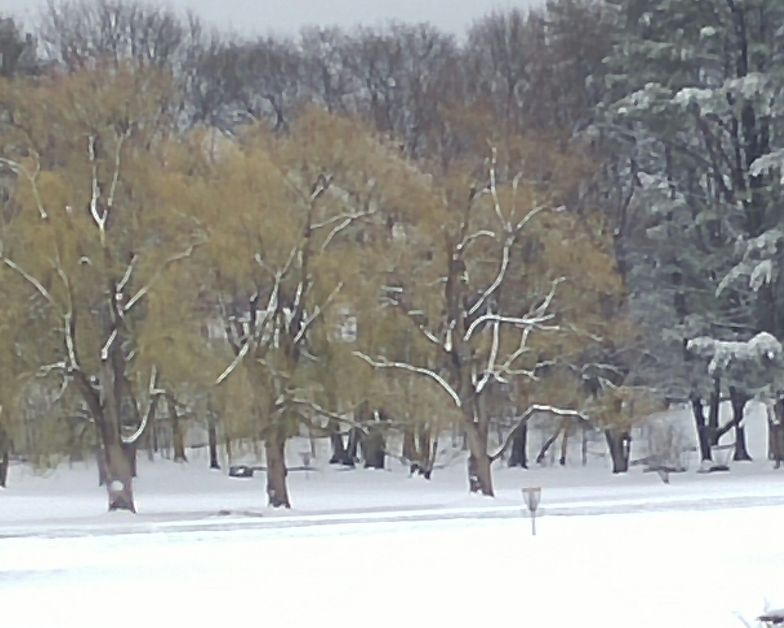 Gallery Image 15