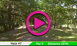 Hole 7